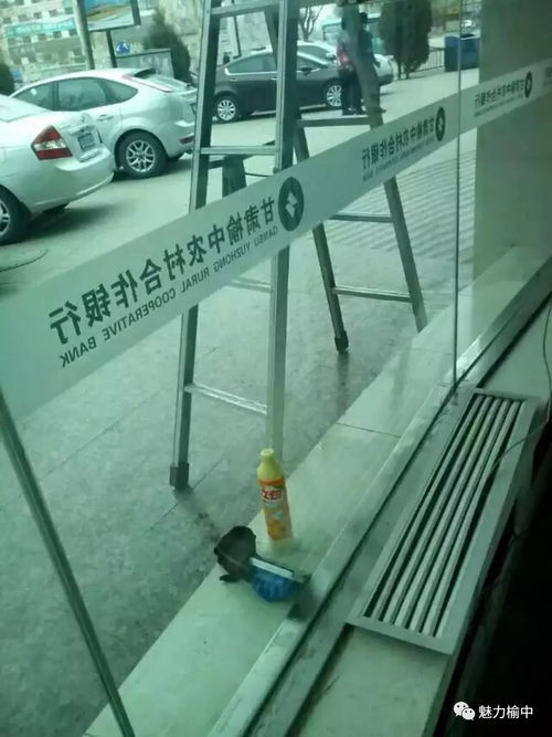 榆中永潔家政 用心服務(wù) 潔 誠為你